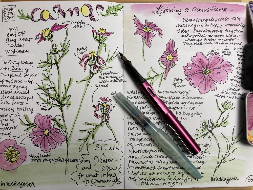 Nature journal with pens