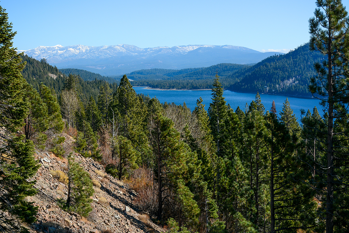 Sierra Nevada trees and mountains