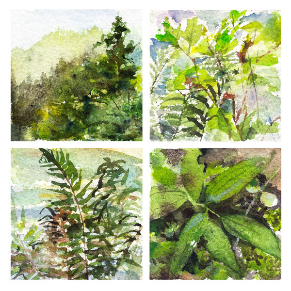 water color collage of four mountain flora examples