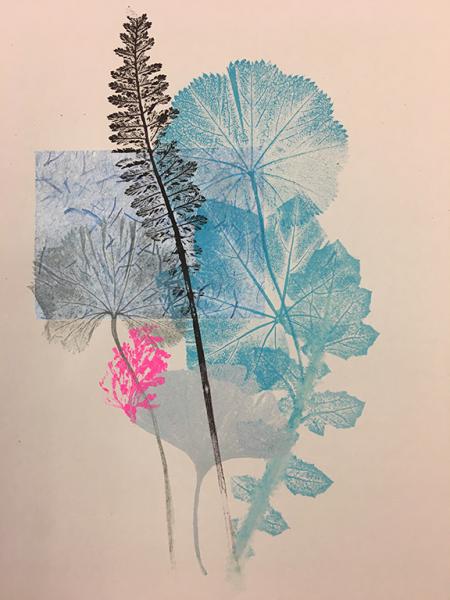 Monoprint of different plants and leaves