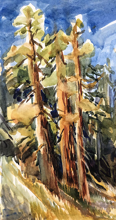Joan Hoffman watercolor Tall Pines