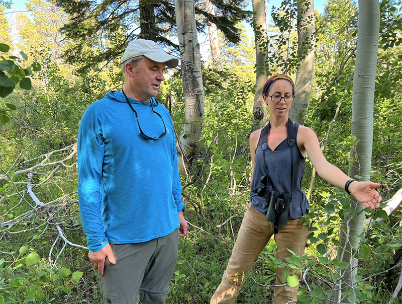 two people examine plants