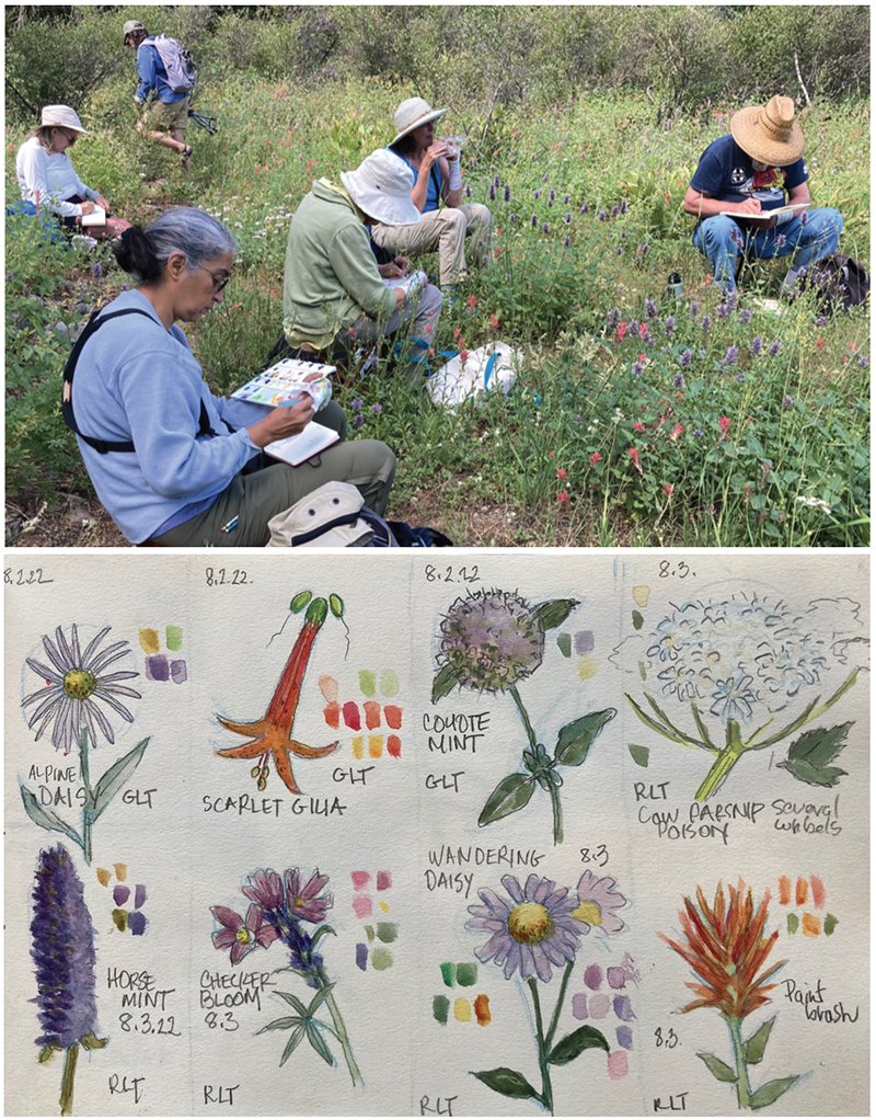 students painting in a field of flowers over water color flowers
