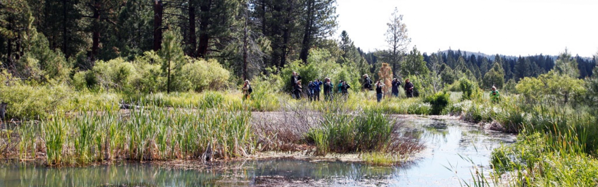 students with binocuclars standing near freshwater pond