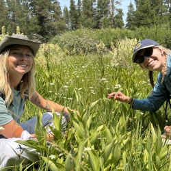 Students in meadow