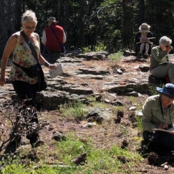 artists in the field make sketches
