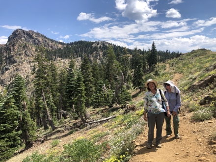 people on a sunny trail together