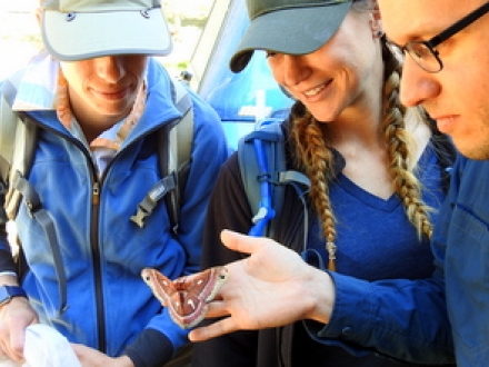 students and instructor with moth in hand